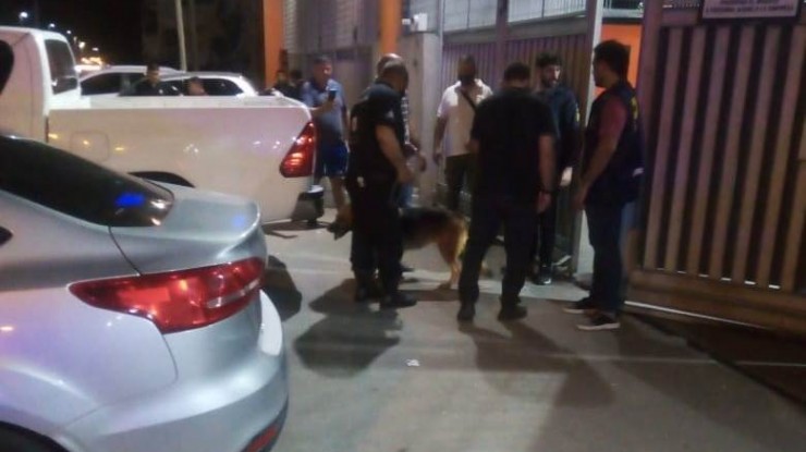 Rescataron a animales abandonados dentro de Codecop